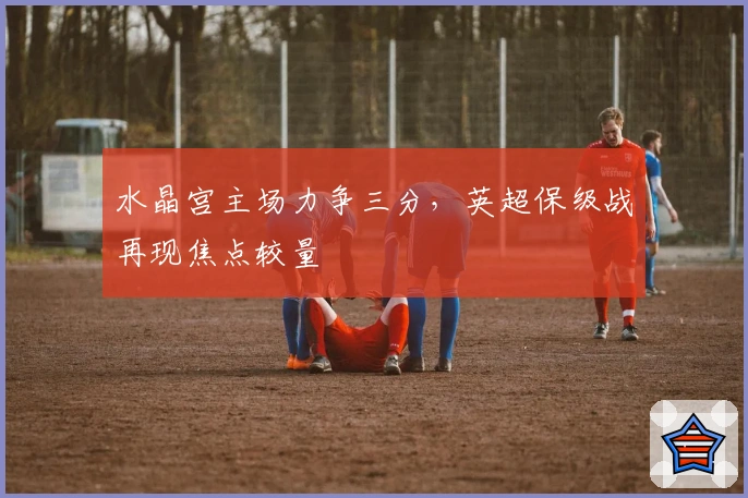 水晶宫主场力争三分,英超保级战再现焦点较量